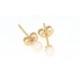 Raffinati orecchini in oro giallo con perla