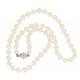 Elegante filo di perle con chiusura in oro bianco